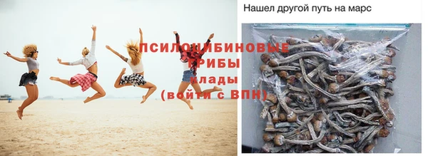 прущая мука Кулебаки
